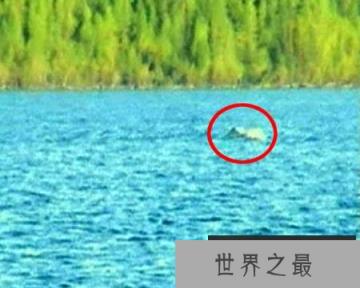 喀纳斯湖水怪之谜