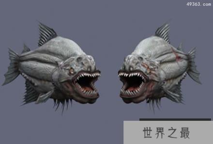 揭开1000万年前恐怖深海食人鱼的恐怖面纱