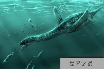 青海湖水怪之谜，科学家推测不是蛇颈龙