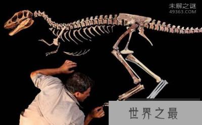 中国发现迷你霸王龙仅70公斤