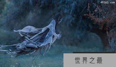 深海中的摄魂怪：冥河水母为什么那么恐怖