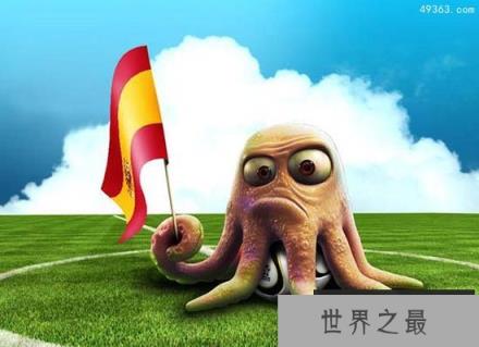 “预言帝”章鱼保罗到底有多神秘？