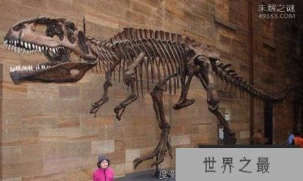 巨兽龙，最大的陆地肉食性恐龙
