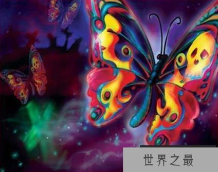 卡申夫鬼美人凤蝶的恐怖传说,捕捉者要付出灵魂(雌雄同体)