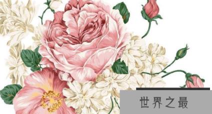 十大不吉利花,这“2种花”既养人又旺财还能镇宅