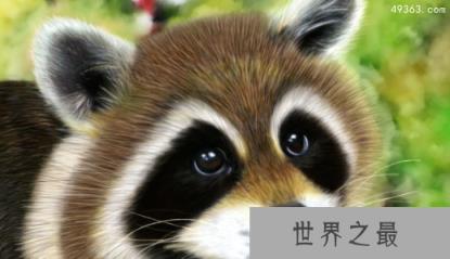 世界上最聪明的动物,十种聪明的动物