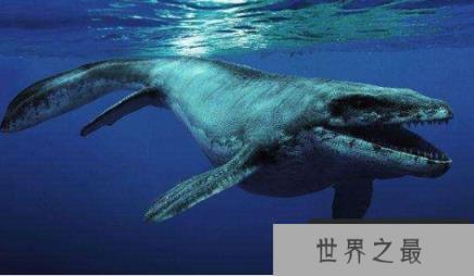 什么龙能秒杀霸王龙，棘龙与霍夫曼沧龙哪个更强