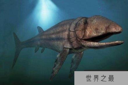 利兹鱼和巨齿鲨谁大，史上最大鱼类利兹鱼揭秘(长27米)