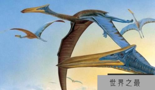 风神翼龙的天敌是谁，风神翼龙vs霸王龙谁厉害