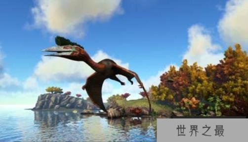 风神翼龙有多大，风神翼龙的资料(多张高清图片)