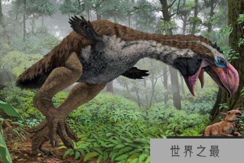 史前统治地球的十大动物(1357vip.com)