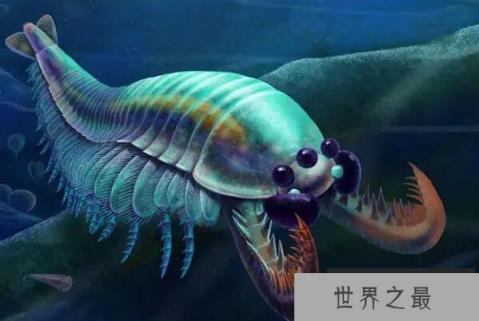 远古十大生物（1357vip.com）