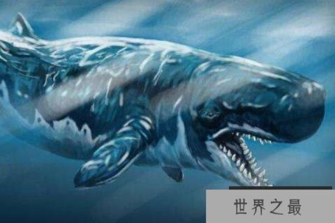 史前十大咬合力最强生物