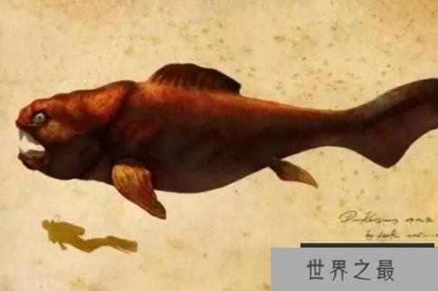 史前十大海洋巨兽排行榜 巨齿鲨上榜,第一生存在3.6亿年前