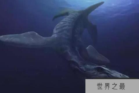 史前十大海洋巨兽排行榜 巨齿鲨上榜,第一生存在3.6亿年前