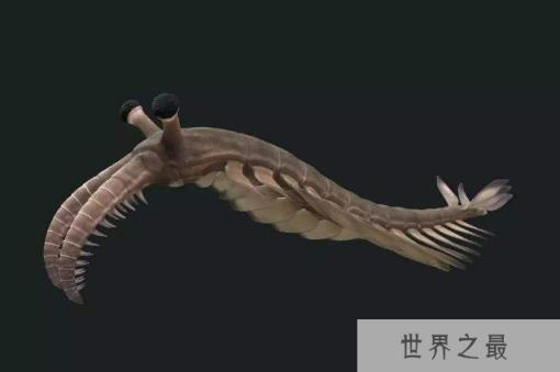 世界10大灭绝动物，渡渡鸟灭绝仅用仅200年 1357vip.com