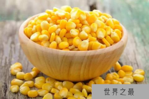 玉米种子排名前十名：龙高L2排第一名，良玉99居第二名