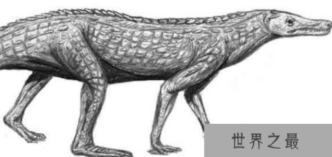 陆鳄的形态习性