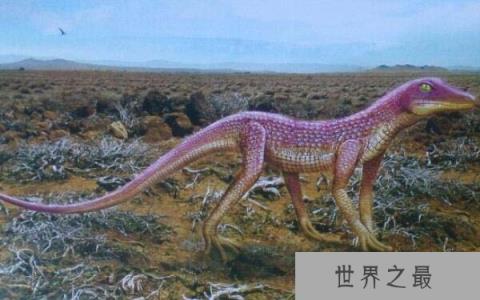 陆鳄与现代鳄鱼的区别