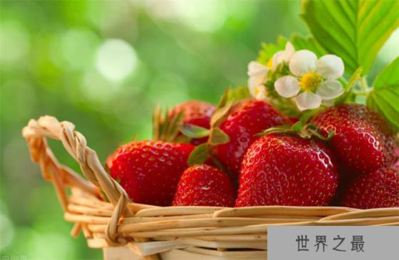 【最脏水果】最脏的水果 到底还能不能吃