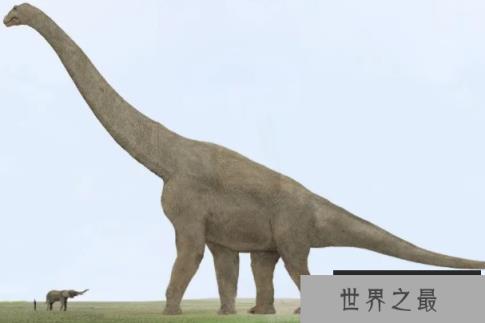 史上最大的恐龙