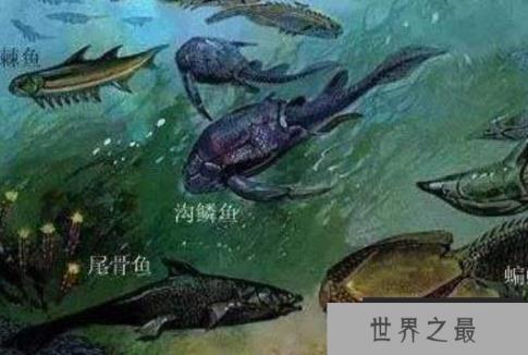 泥盆纪生物大灭绝