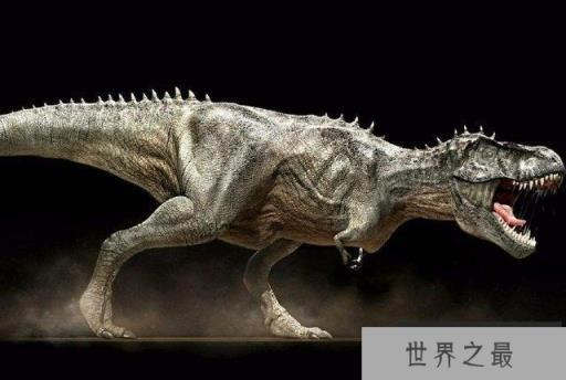 地球上10大食肉恐龙（1357vip.com）
