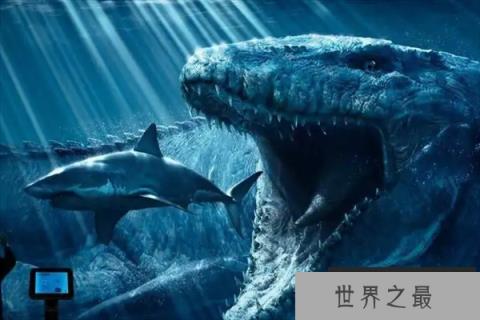 十大已灭绝的海洋动物