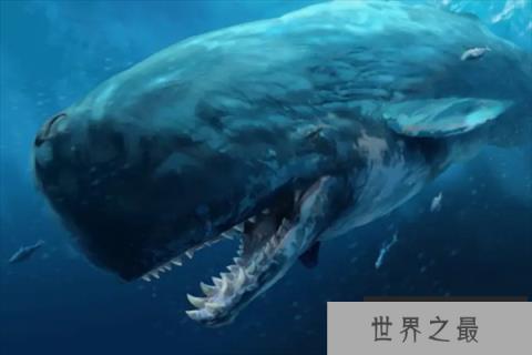 十大已灭绝的海洋动物