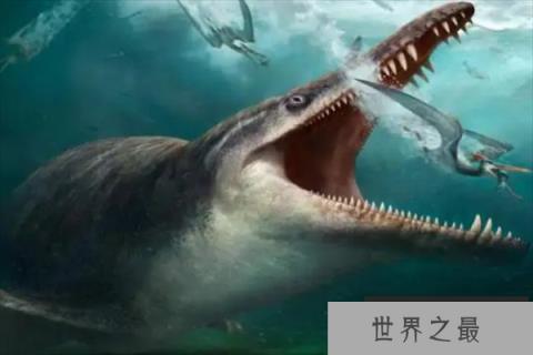 十大已灭绝的海洋动物