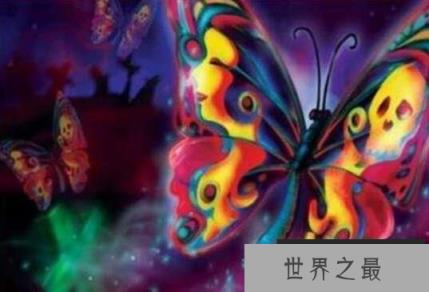 世界上最诡异的蝴蝶：鬼美人凤蝶捕捉者会离奇死亡