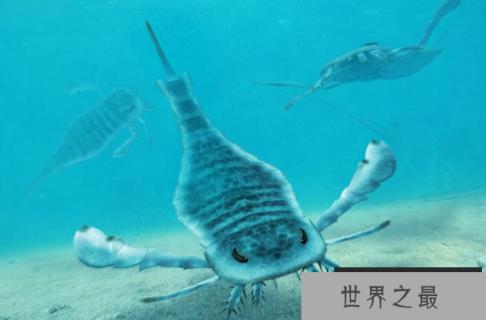 已灭绝的十大最强怪物