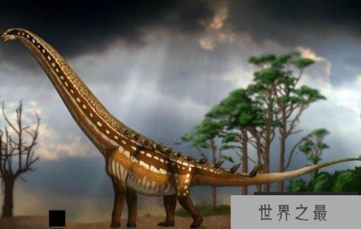 世界10大最大的恐龙