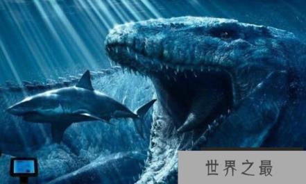 世界三大可怕的鲨鱼
