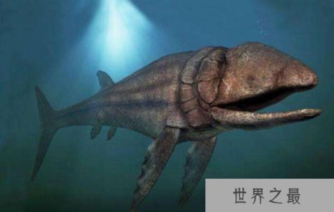 世界上最大的硬骨鱼类：利兹鱼