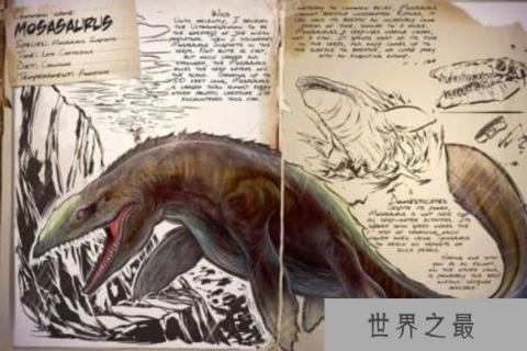 远古最大的海洋生物：沧龙