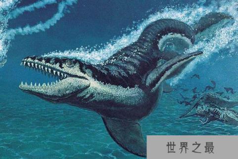 远古最大的海洋生物：沧龙