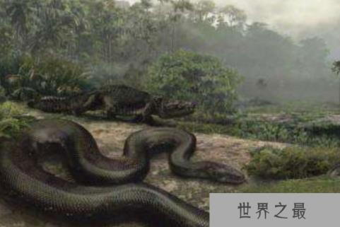 远古最大的蛇：泰坦蟒