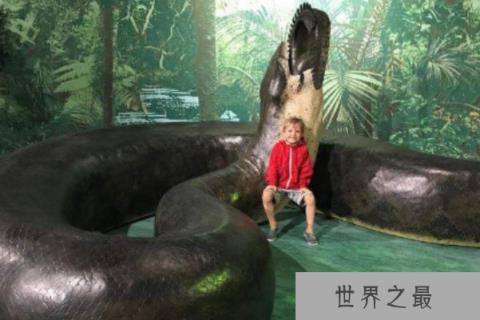 远古最大的蛇：泰坦蟒
