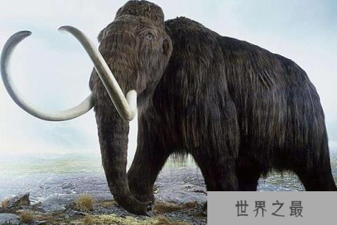 地球上7大史前动物