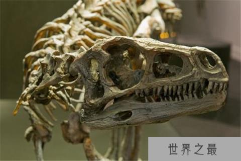 世界上最古老的恐龙