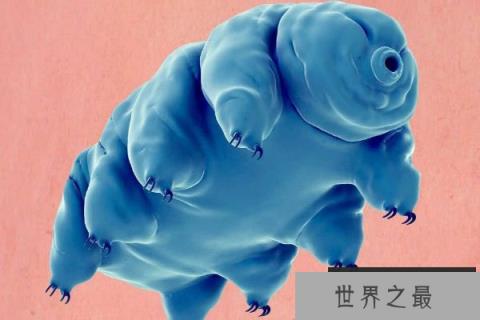 世界最强大的生物