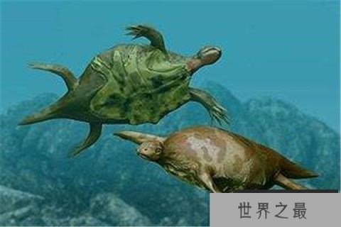 世界上最老的海龟是什么：半甲齿龟生活于白垩纪