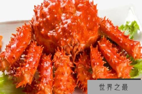 世界上体型最大的螃蟹之一:刺蟹最重达五公斤