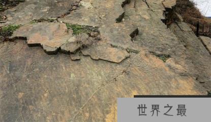 世界上发现最早的多细胞生物，淮南虫7.4亿年前已经形成