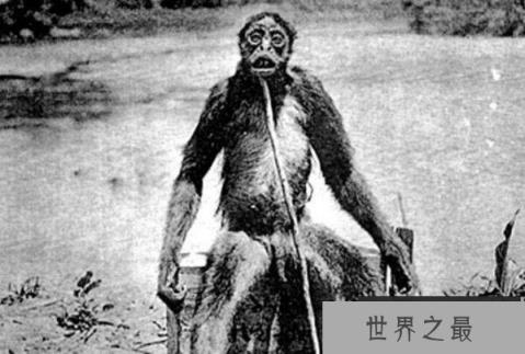 世界上最可怕的五大不明生物