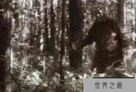 世界上最可怕的五大不明生物