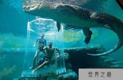 地球上10大巨型鳄鱼