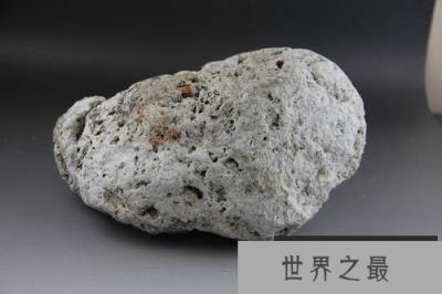 世界上最贵的动物粪便