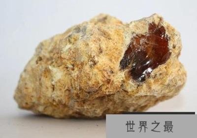 世界上最贵的动物粪便